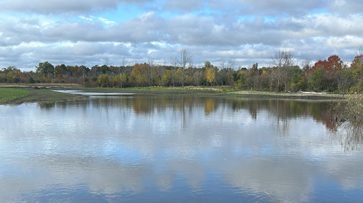 root-pike-wetlands